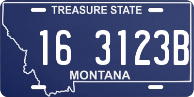 MT license plate 163123B