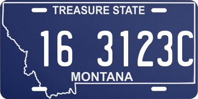 MT license plate 163123C