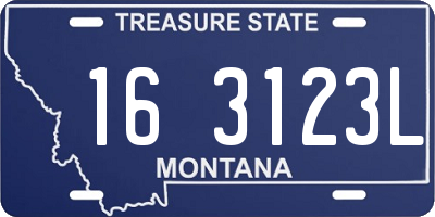 MT license plate 163123L