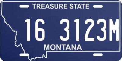 MT license plate 163123M