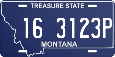 MT license plate 163123P