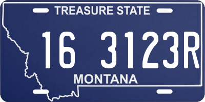 MT license plate 163123R