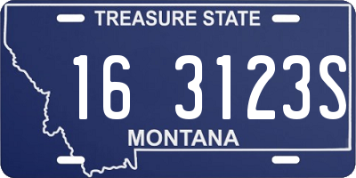 MT license plate 163123S