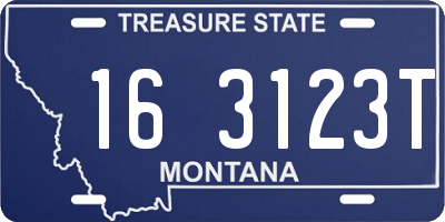 MT license plate 163123T