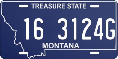 MT license plate 163124G