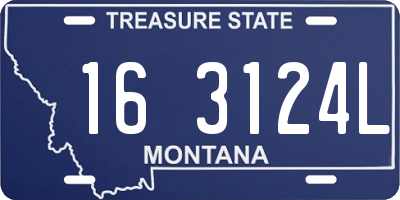 MT license plate 163124L