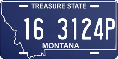 MT license plate 163124P