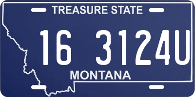 MT license plate 163124U