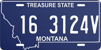 MT license plate 163124V