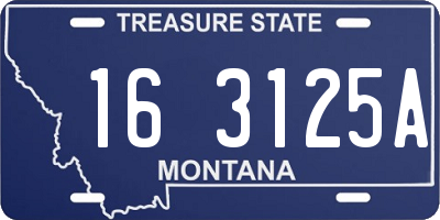 MT license plate 163125A