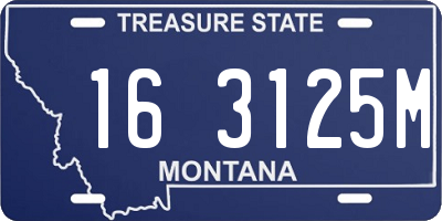 MT license plate 163125M