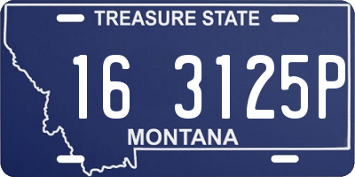 MT license plate 163125P