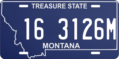 MT license plate 163126M