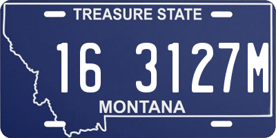 MT license plate 163127M