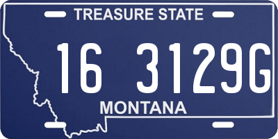 MT license plate 163129G