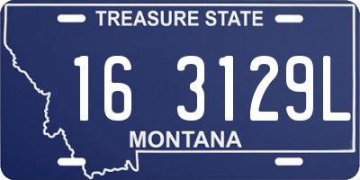 MT license plate 163129L