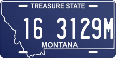 MT license plate 163129M