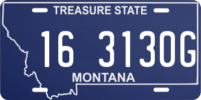 MT license plate 163130G