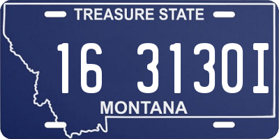 MT license plate 163130I