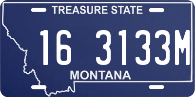 MT license plate 163133M