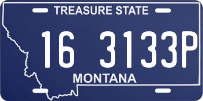 MT license plate 163133P