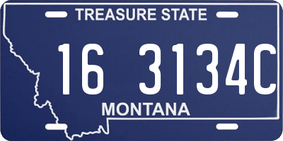 MT license plate 163134C