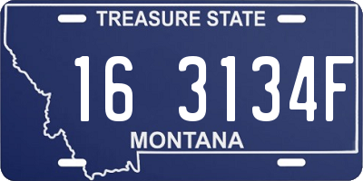 MT license plate 163134F