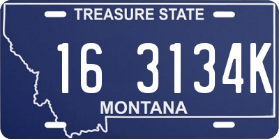 MT license plate 163134K