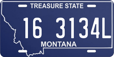 MT license plate 163134L