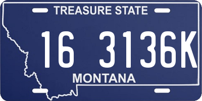MT license plate 163136K