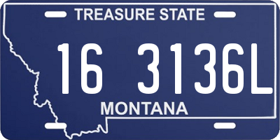 MT license plate 163136L