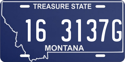 MT license plate 163137G