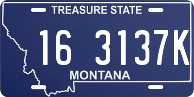MT license plate 163137K