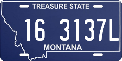 MT license plate 163137L
