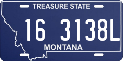 MT license plate 163138L