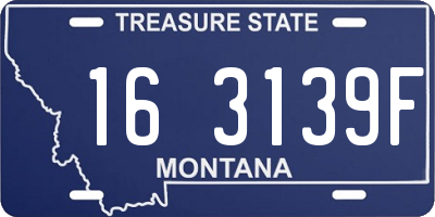 MT license plate 163139F