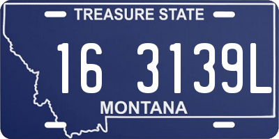 MT license plate 163139L