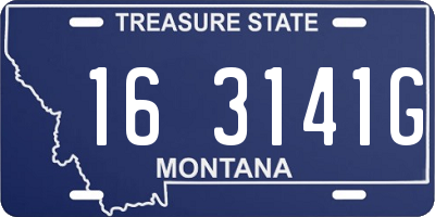 MT license plate 163141G