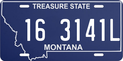 MT license plate 163141L