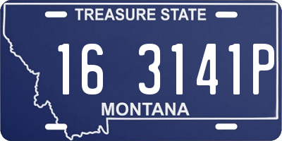 MT license plate 163141P