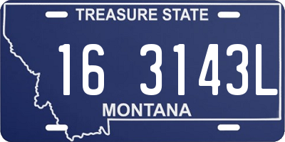 MT license plate 163143L