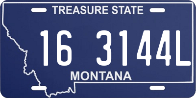 MT license plate 163144L