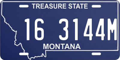 MT license plate 163144M