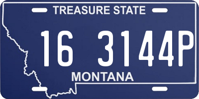 MT license plate 163144P