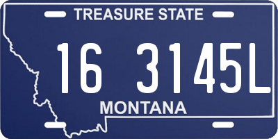MT license plate 163145L