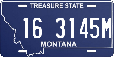 MT license plate 163145M