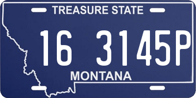 MT license plate 163145P