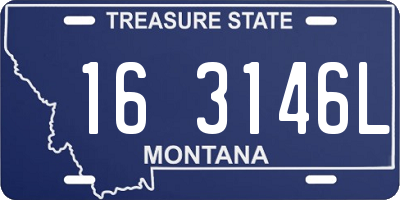MT license plate 163146L