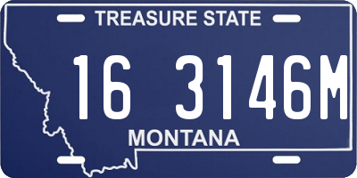 MT license plate 163146M