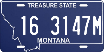 MT license plate 163147M